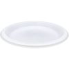 Genuine Joe 10-1/4" Large Plastic Plates1