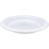 Genuine Joe 10-1/4" Large Plastic Plates2