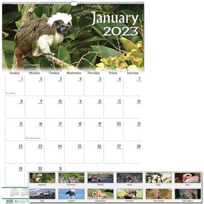 House of Doolittle Earthscapes Wildlife Monthly Wall Calendar1