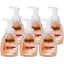 Gojo&reg; Premium Foam Antibacterial Handwash1