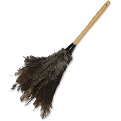 Impact Products Economy Ostrich Feather Duster1
