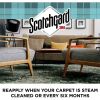 Scotchgard Fabric/Carpet Cleaner3