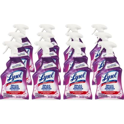 Lysol Mold/Mildew Remover1