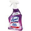 Lysol Mold/Mildew Remover4