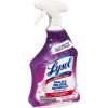 Lysol Mold/Mildew Remover5