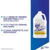 Lysol I.C. Quaternary Disinfectant Cleaner5