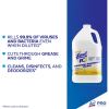 Lysol I.C. Quaternary Disinfectant Cleaner4