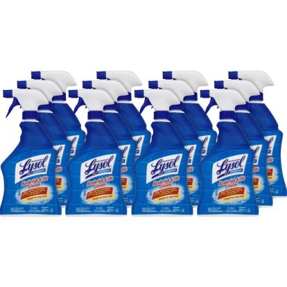 Professional Lysol Basin Tub/Tile Cleaner1