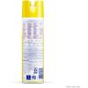 Professional Lysol Original Disinfectant Spray2