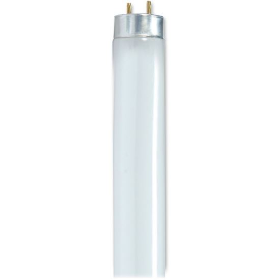 Satco 32-watt T8 Fluorescent Bulbs1