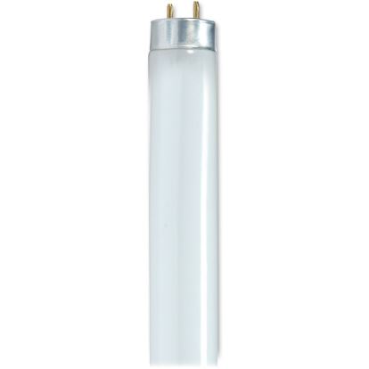 Satco 25-watt 48" T8 Fluorescent Bulb1