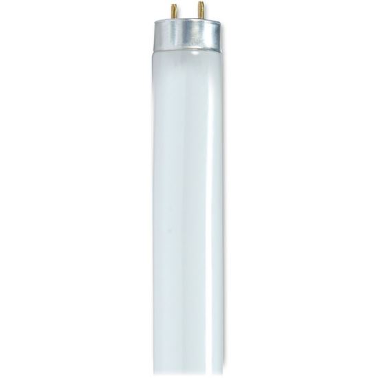 Satco 32-watt 48" T8 Fluorescent Bulbs1