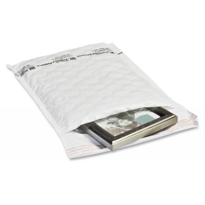 Sealed Air TuffGuard Extreme Cushioned Mailers1