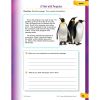 Shell Education Summer Blast Spanish Workbook Printed Book4