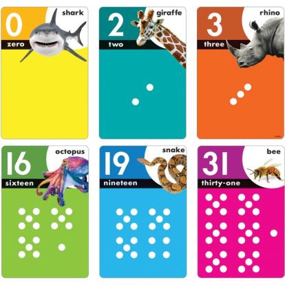 Trend Animals Count 0-31 Learning Set with Numbered Counting Cards1