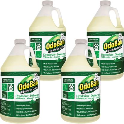 OdoBan Eucalyptus Multi-purpose Deodorizer Disinfectant Concentrate1