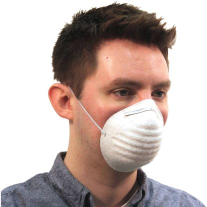 ProGuard Disposable Nontoxic Dust Mask1