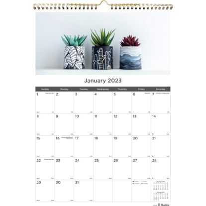 12-Month Wall Calendar, Succulent Plants Photography, 12 x 17, White/Multicolor Sheets, 12-Month (Jan to Dec): 20221