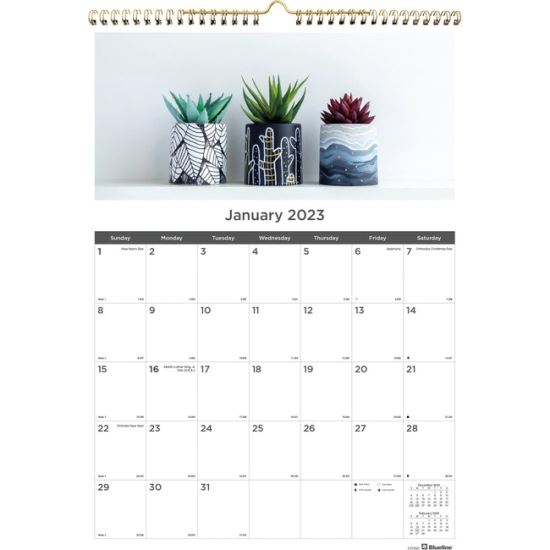 12-Month Wall Calendar, Succulent Plants Photography, 12 x 17, White/Multicolor Sheets, 12-Month (Jan to Dec): 20221