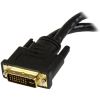 StarTech.com 8in Wyse DVI Splitter Cable - DVI-I to DVI-D and VGA - M/F2