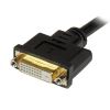 StarTech.com 8in Wyse DVI Splitter Cable - DVI-I to DVI-D and VGA - M/F3