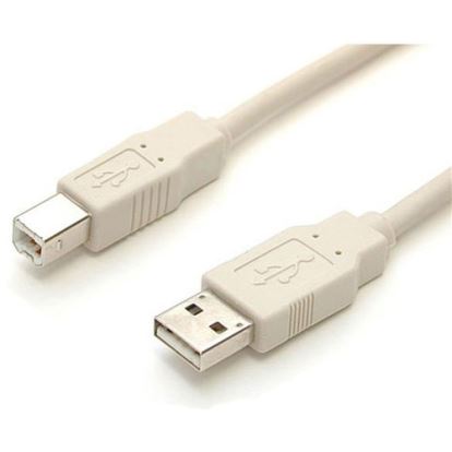 StarTech.com 6 ft Beige A to B USB Cable - M/M1
