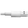 Tripp Lite 6ft Lightning USB/Sync Charge Cable for Apple Iphone / Ipad White 6'3