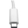 Tripp Lite USB-C to Gigabit Ethernet NIC Network Adapter 10/100/1000 Mbps White3