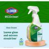 Clorox EcoClean Glass Cleaner Spray9