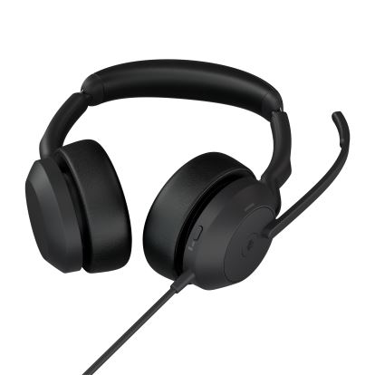 Jabra Evolve2 501