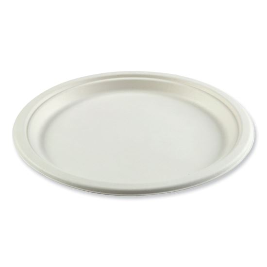 Bagasse PFAS-Free Dinnerware, Plate, 10" dia, White, 500/Carton1
