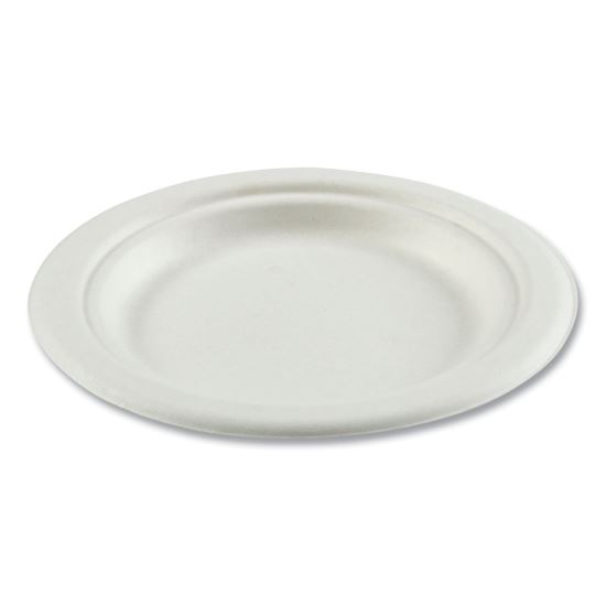 Bagasse PFAS-Free Dinnerware, Plate, 6" dia, White, 1,000/Carton1