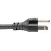 Tripp Lite P034-010 power cable Black 120.1" (3.05 m) C19 coupler NEMA 5-15P3