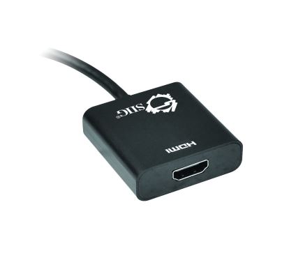 Siig CB-DP0Q11-S1 DisplayPort HDMI Black3