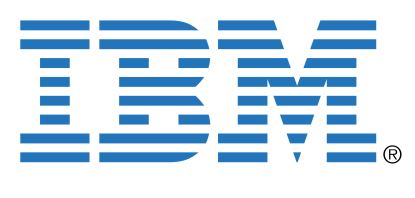 IBM 90Y3462 software license/upgrade1