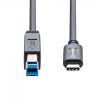 SYBA USB TYPE-C TO USB 3.1 USB cable 39.4" (1 m) USB 3.2 Gen 2 (3.1 Gen 2) USB C USB B Black3