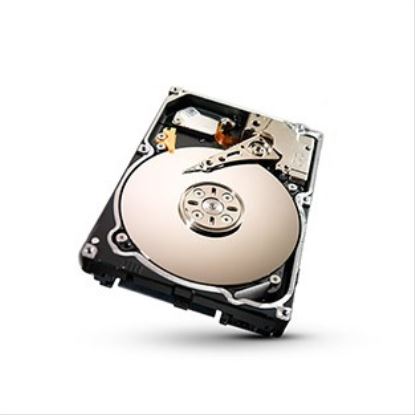 Promise Technology F29VA2S20000009 internal hard drive 3.5" 2000 GB Serial ATA II1