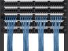 Monoprice 113658 networking cable Blue 35.8" (0.91 m) Cat7 S/FTP (S-STP)6