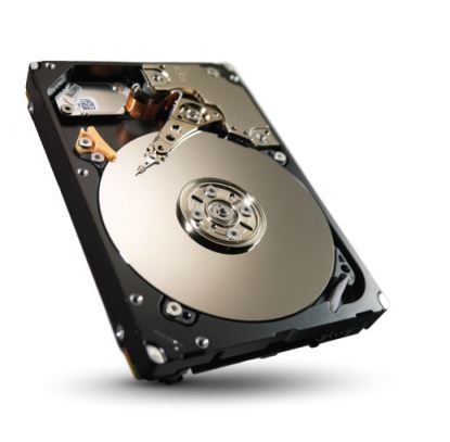 Seagate Savvio ST9900805SS-RF internal hard drive 2.5" 900 GB SAS1