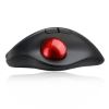 Adesso iMouse T30 mouse Right-hand RF Wireless Trackball 4800 DPI4