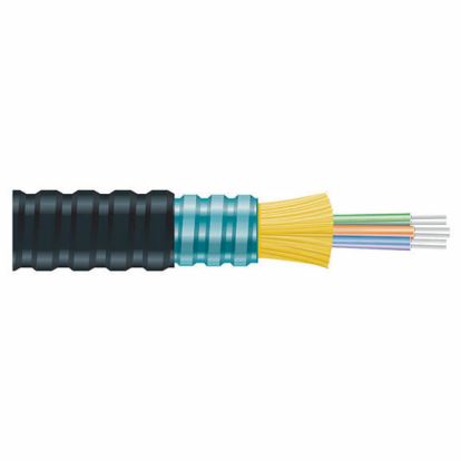 Black Box FOBC35-IOAM3-BK-12F fiber optic cable 3000" (76.2 m) OFCP OM31