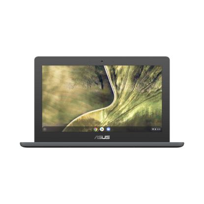 ASUS Chromebook C204EE-YZ02-GR notebook N4020 11.6" HD Intel® Celeron® N 4 GB 32 GB eMMC Wi-Fi 5 (802.11ac) ChromeOS Gray1