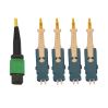 Tripp Lite N390-01M-4S-AP fiber optic cable 39.8" (1.01 m) 12x MTP/MPO 4x SN OFNR OM2 Black, Blue, Green, White, Yellow3