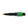 Tripp Lite N390-01M-4S-AP fiber optic cable 39.8" (1.01 m) 12x MTP/MPO 4x SN OFNR OM2 Black, Blue, Green, White, Yellow5