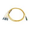 Tripp Lite N390-02M-4S-AP fiber optic cable 79.1" (2.01 m) 12x MTP/MPO 4x SN OFNR OS2 Black, Blue, Green, White, Yellow2