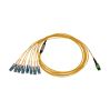 Tripp Lite N390-02M-8S-AP fiber optic cable 79.1" (2.01 m) 16x MTP/MPO 8x SN OFNR OS2 Black, Blue, Green, White, Yellow2