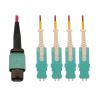 Tripp Lite N845-03M-4S-MG fiber optic cable 117.7" (2.99 m) 12x MTP/MPO 4x SN OFNR OM4 Aqua color, Black, Magenta, White1