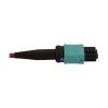 Tripp Lite N845-03M-4S-MG fiber optic cable 117.7" (2.99 m) 12x MTP/MPO 4x SN OFNR OM4 Aqua color, Black, Magenta, White8