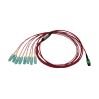 Tripp Lite N845-02M-8S-MG fiber optic cable 79.1" (2.01 m) 16x MTP/MPO 8x SN OFNR OM4 Aqua color, Black, Green, Magenta, White2