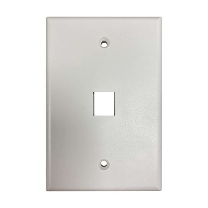 Tripp Lite N042AB-001-IVM wall plate/switch cover Ivory1
